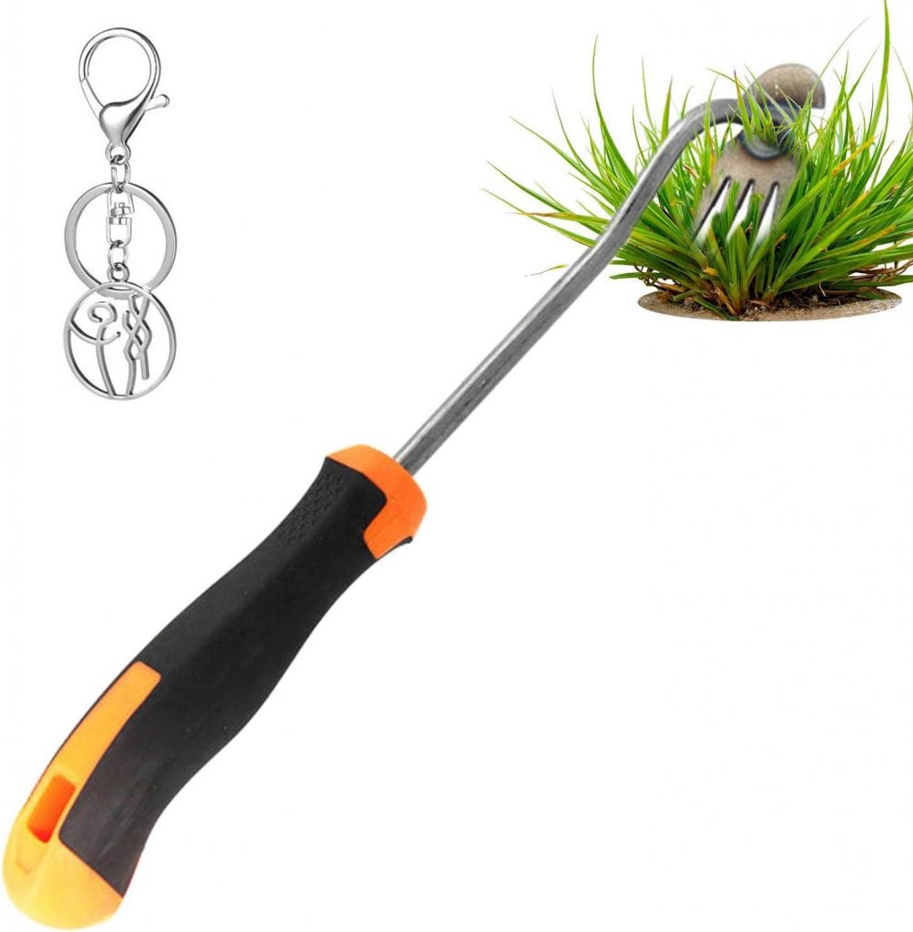 Werkzeuge zur Wurzelstockentfernung