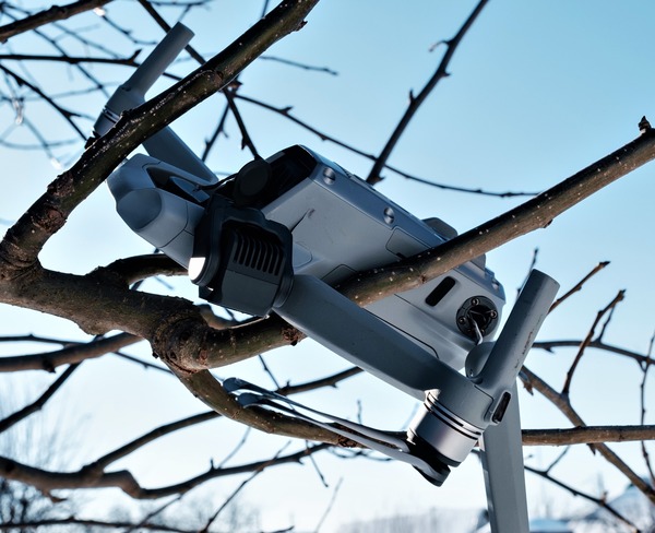 Drohne aus Baum retten