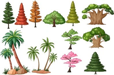   Einheimische Baumarten pflanzen