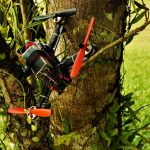 Drohnenrettung aus Bäumen